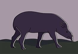 Image result for Tapir Fighting Art