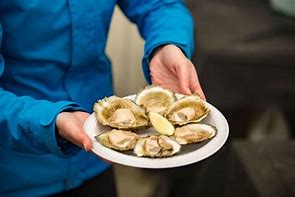 Image result for Bluff Oysters