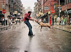 Image result for New York Street Photographers