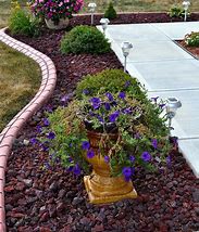 Image result for Red Lava Rock Landscaping