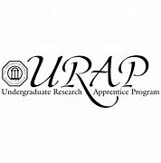 Image result for Urap Asset-Image