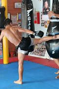 Image result for Fairtex Bowling Ball Bag