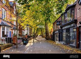 Image result for Tree in Footpath UK Raised