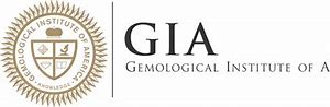 Image result for Gia 360 Logo