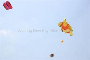 Image result for Animal Inflatable Kite