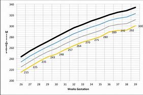 Image result for Head Circumference 37 Weeks Ultrasound