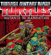 Image result for TMNT Diguises