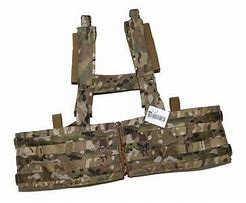 Image result for AWS M14 Chest Rig