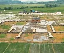 Image result for Agrowisata Ngalor Kalo Manggarai Barat