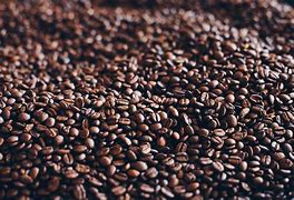 Image result for Unroasted Portrait Coffee Beans