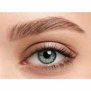 Image result for Light Brown Blonde Eyebrows