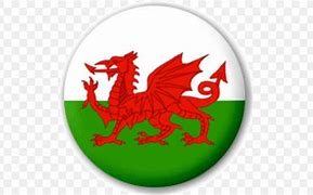 Image result for Welsh Dragon USA Flag