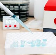 Image result for Free DNA Testing Kits