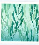 Image result for Watercolor Seaweed