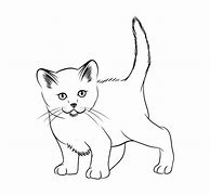 Image result for Animals in Drowing Cat