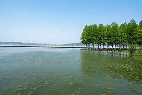 Image result for Dongqian Lake Ningbo