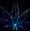 Image result for Weed Background 1920X1080