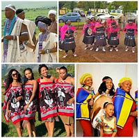 Image result for Nguni Velle