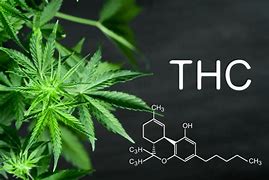 Image result for THC Compound