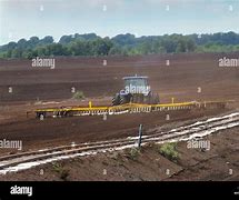 Image result for Peat Plant