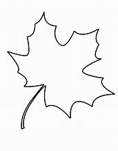 Image result for Leaf Pic