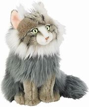 Image result for Maine Coon Cat Plush