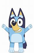 Image result for Bluey Captain