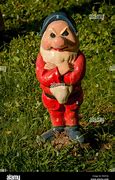 Image result for Shady Gnome