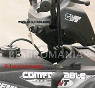 Image result for Bashan 250 Quad