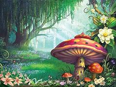 Image result for Enchanted Forest Pics