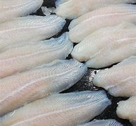 Image result for Dory Fillet Econsave