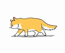 Image result for Motion Cat Wrld