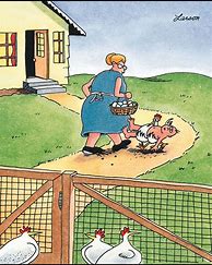 Image result for Far Side Chicken Soup Cartoon