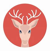 Image result for Reindeer Also Known as Caribou