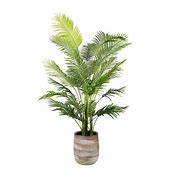 Image result for Artificial Palm Tree