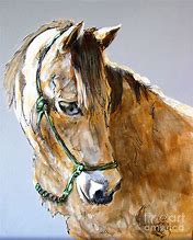 Image result for Morgan Paint Horse