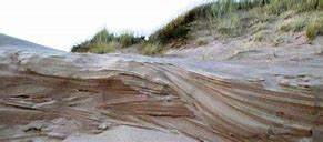 Image result for Petroleum Geology