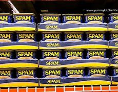 Image result for Spam Can Food