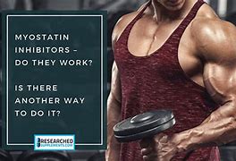 Image result for Myostatin Inhibito