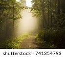 Image result for Foggy Path Landscape