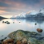 Image result for Arctic Nature