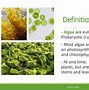 Image result for Algae Adaptations