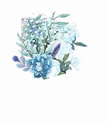 Image result for Aesthetic Blue Flowers PNG