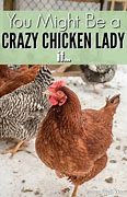 Image result for Crazy Chicken Meme