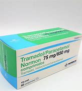 Image result for Paracetamol TRPV1