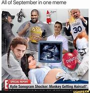 Image result for Cutting Monkey Hair Meme