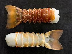 Image result for Lobster Tails