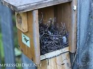 Image result for Wren Nest Box Plans