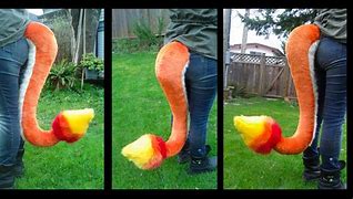 Image result for Charmander Tail