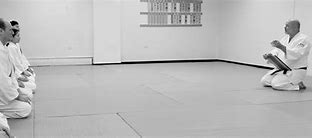 Image result for Gyokushin Aikido